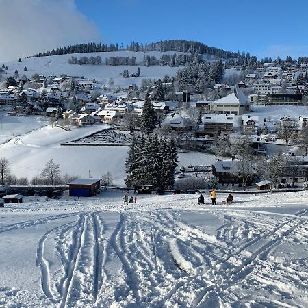 Haus Am Sonnenberg,Todtnauberg, Ferienwohnung 002, Direkt Am Skilift-Skipiste, Naehe Feldberg المظهر الخارجي الصورة