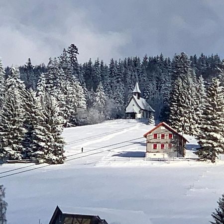 Haus Am Sonnenberg,Todtnauberg, Ferienwohnung 002, Direkt Am Skilift-Skipiste, Naehe Feldberg المظهر الخارجي الصورة