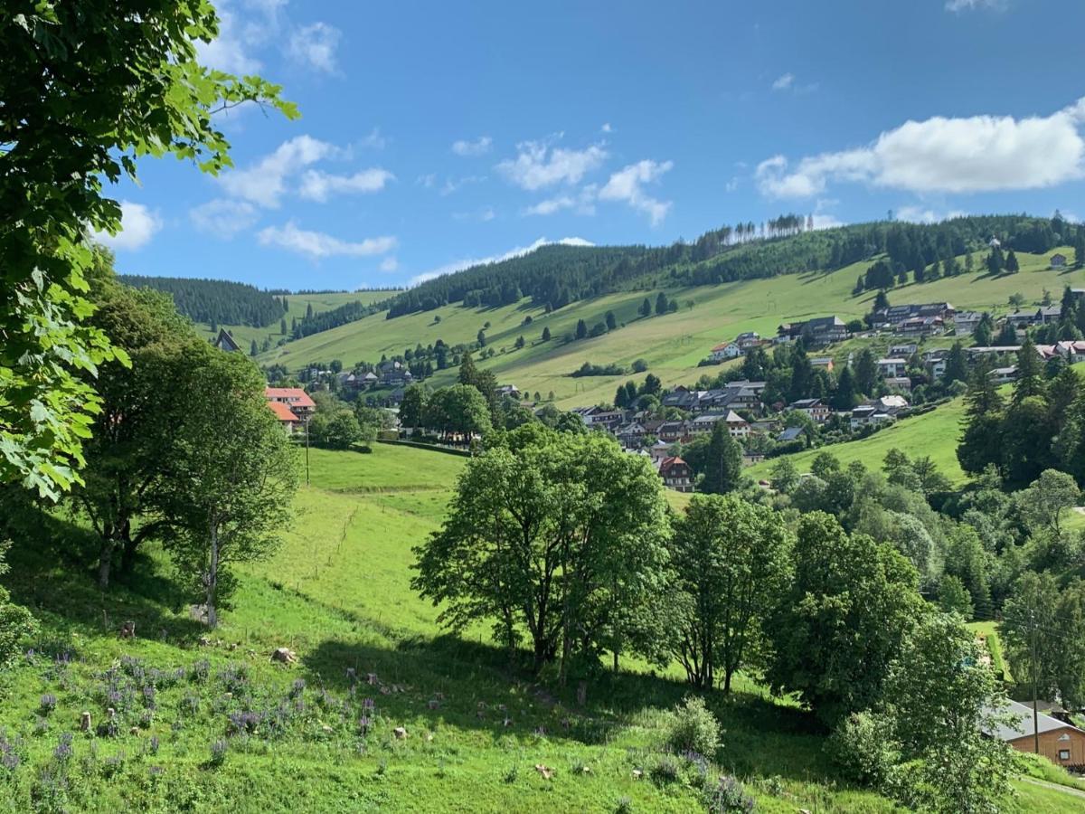 Haus Am Sonnenberg,Todtnauberg, Ferienwohnung 002, Direkt Am Skilift-Skipiste, Naehe Feldberg المظهر الخارجي الصورة