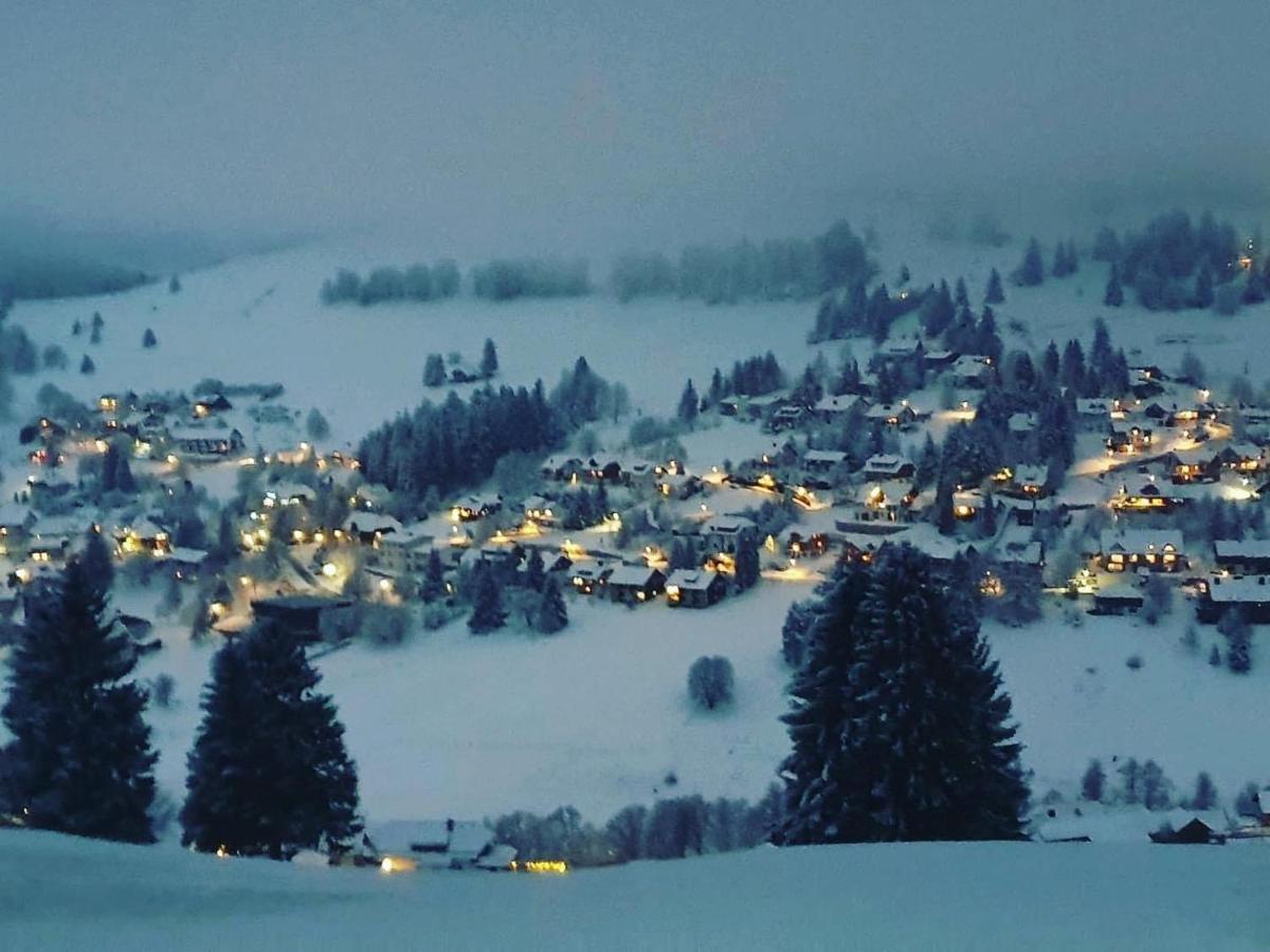 Haus Am Sonnenberg,Todtnauberg, Ferienwohnung 002, Direkt Am Skilift-Skipiste, Naehe Feldberg المظهر الخارجي الصورة