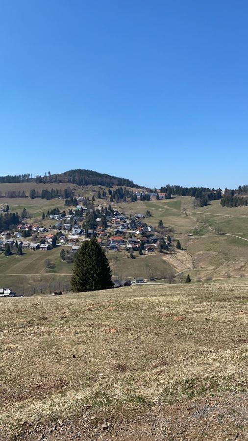 Haus Am Sonnenberg,Todtnauberg, Ferienwohnung 002, Direkt Am Skilift-Skipiste, Naehe Feldberg المظهر الخارجي الصورة