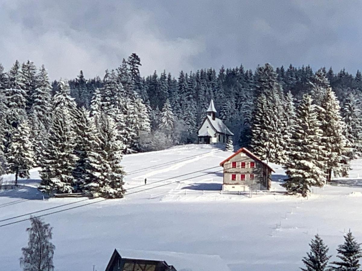 Haus Am Sonnenberg,Todtnauberg, Ferienwohnung 002, Direkt Am Skilift-Skipiste, Naehe Feldberg المظهر الخارجي الصورة