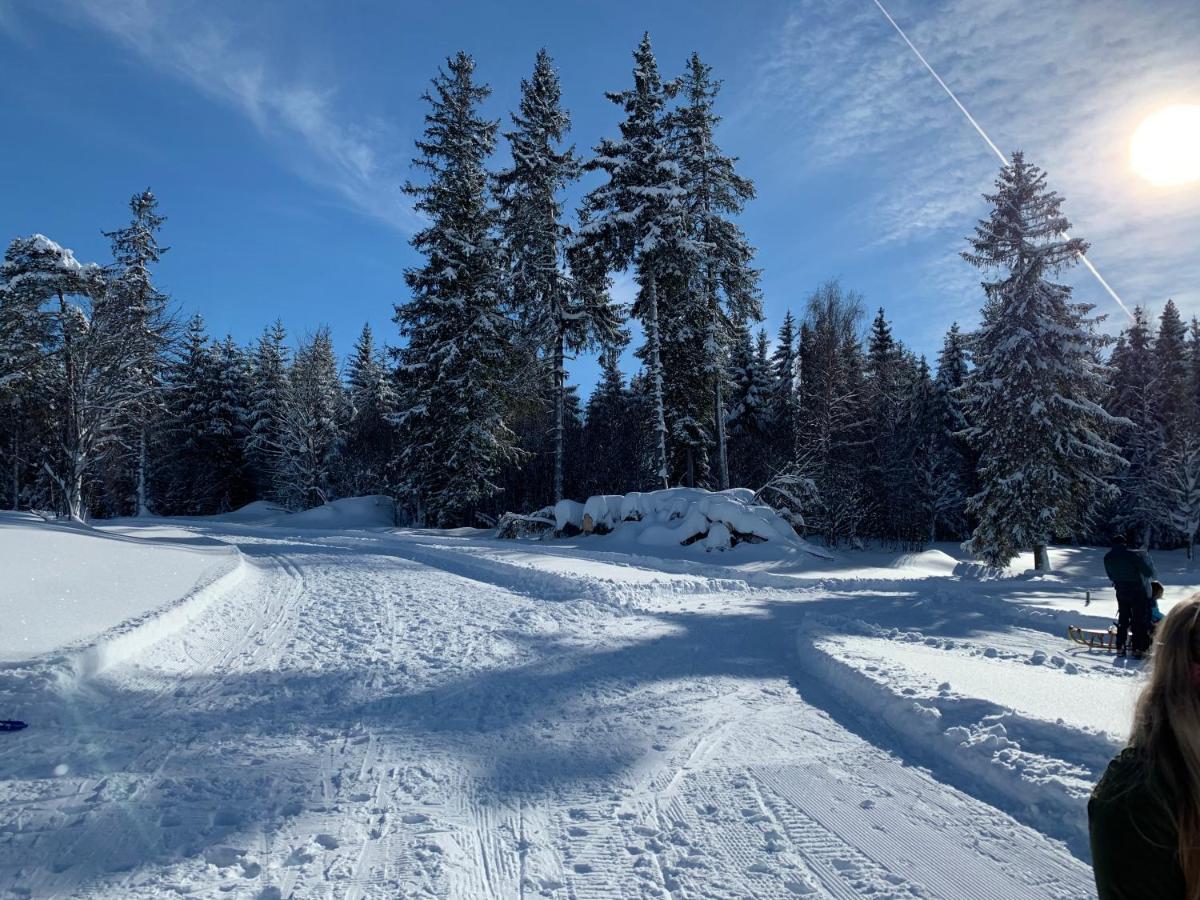 Haus Am Sonnenberg,Todtnauberg, Ferienwohnung 002, Direkt Am Skilift-Skipiste, Naehe Feldberg المظهر الخارجي الصورة